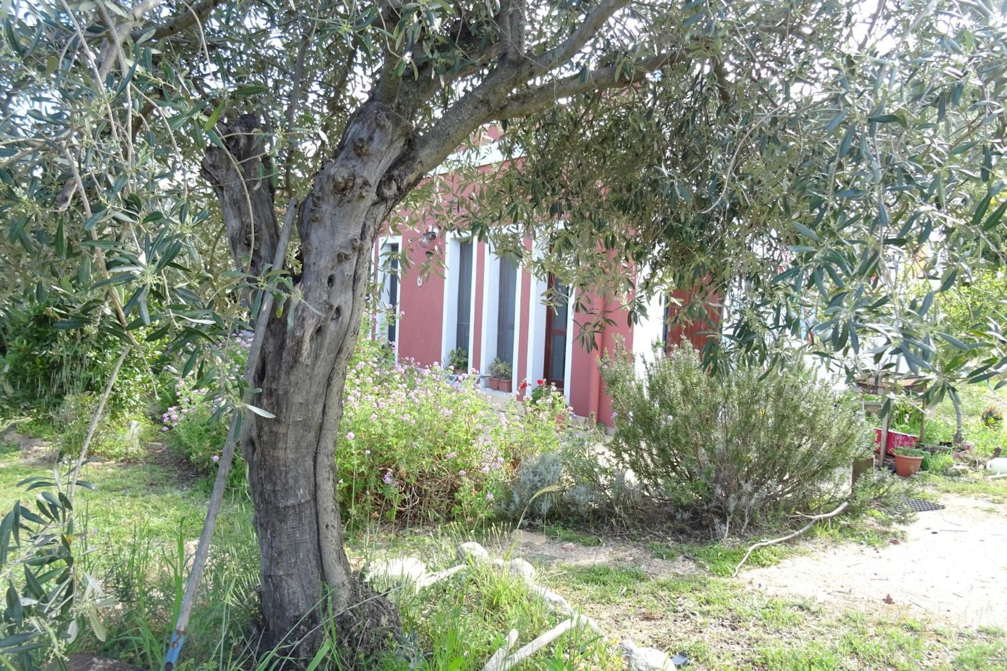 B&B Casa Per Ferie Villaggiocarovana Castiadas Kültér fotó